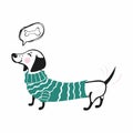 Vector illustration of a dachshund dog in a sweater dreams of an appetizing bone. Royalty Free Stock Photo